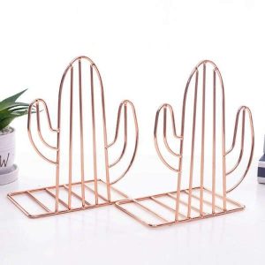 serre livre cactus